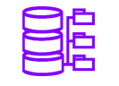 dns dns